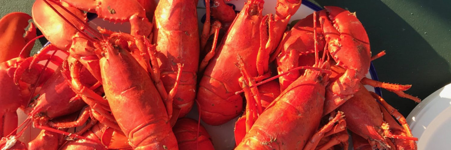 Private Event Gallery