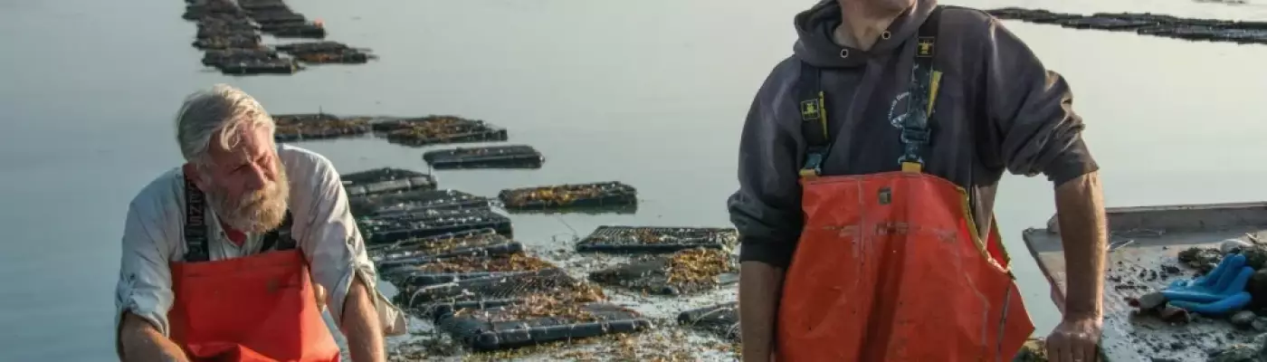 Oyster farms in New Meadows River, Maine