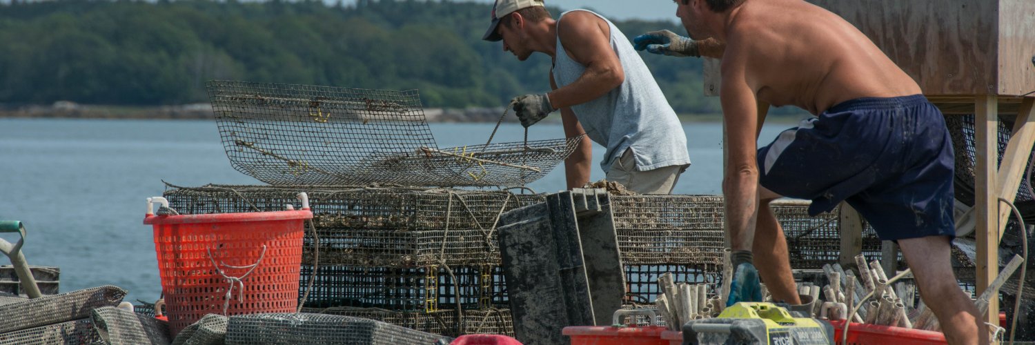 Oyster farms in Casco Bay, Maine