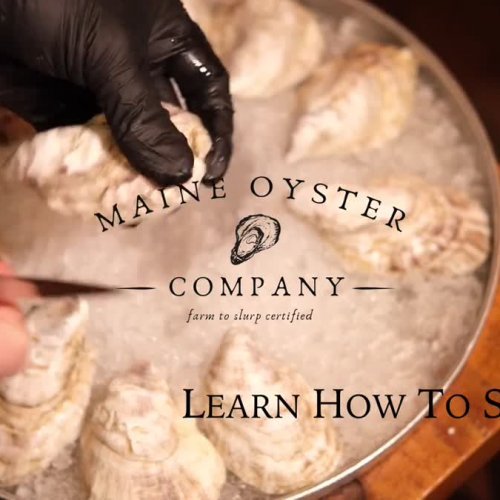 Oyster box video poster