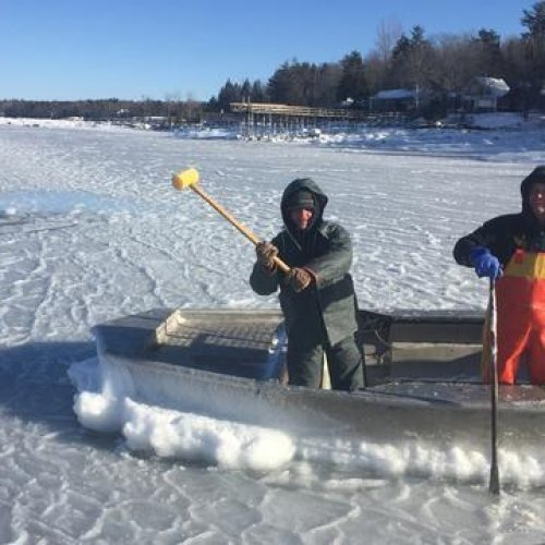 Damariscotta River Oysters