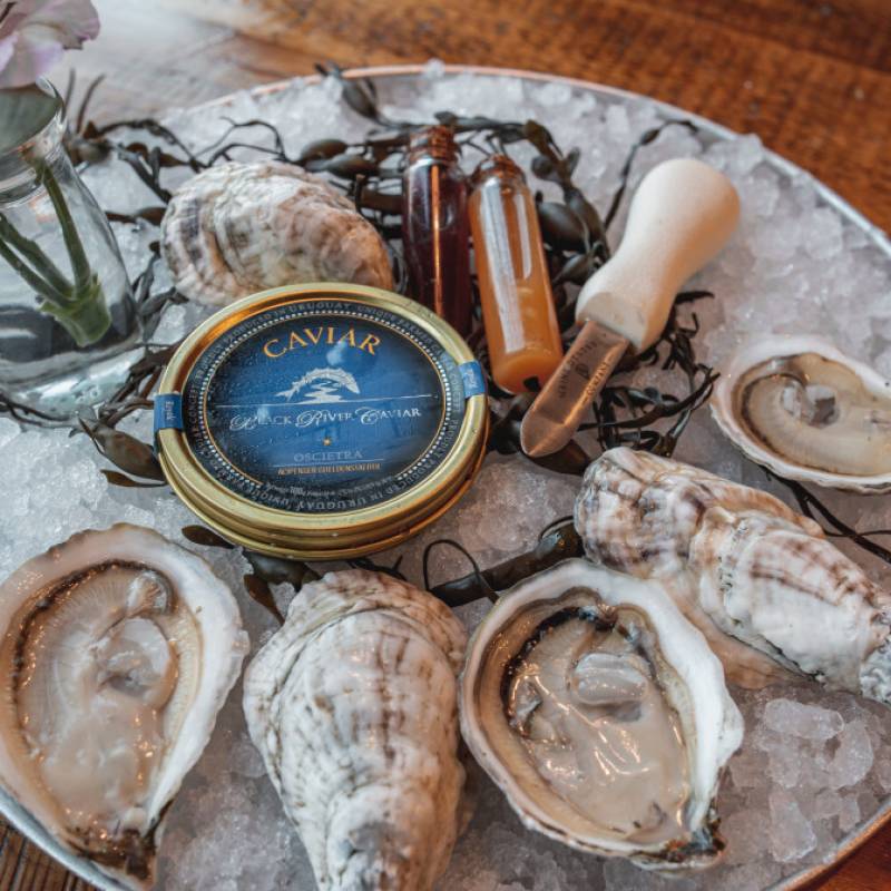 Maine Oyster Company Oysters & Caviar