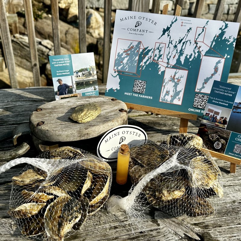 Maine Oysters Shipped Direct Overnight