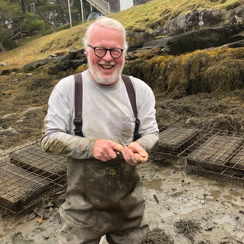 Scruffy's Cove oyster farm, Sheepscot River, Maine