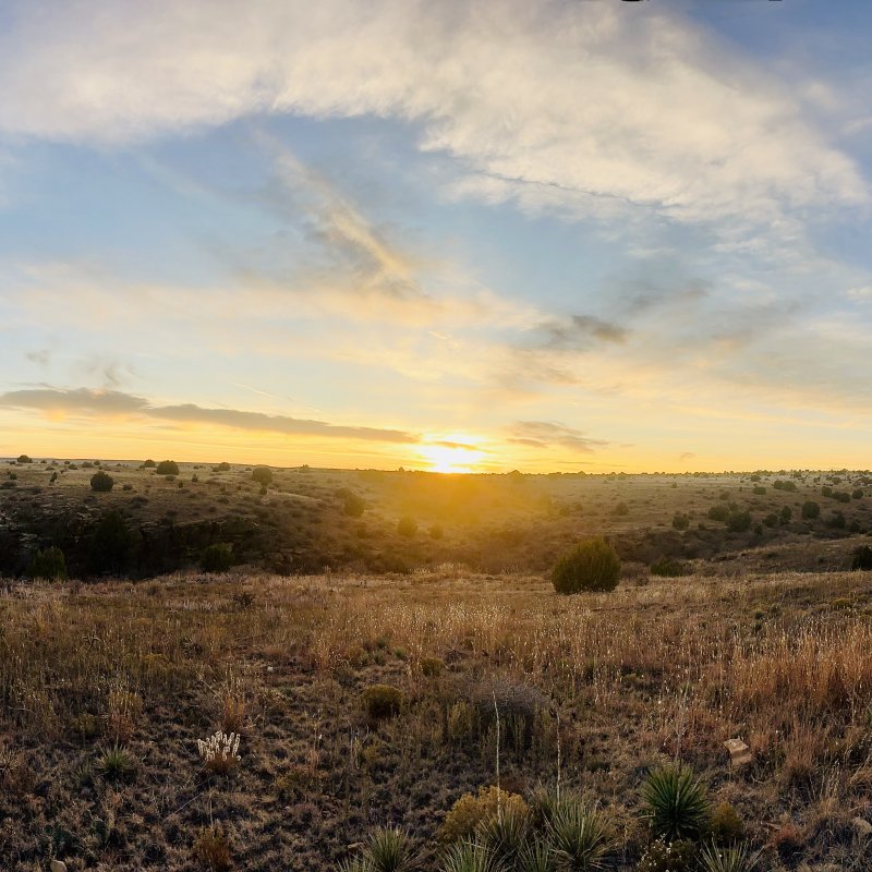 This place is truly amazing