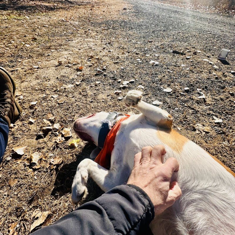 Oh.. please a bit more!