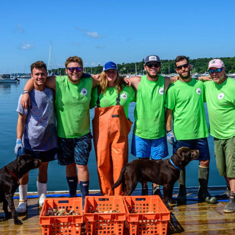 Farmer of Mere Point Oysters 