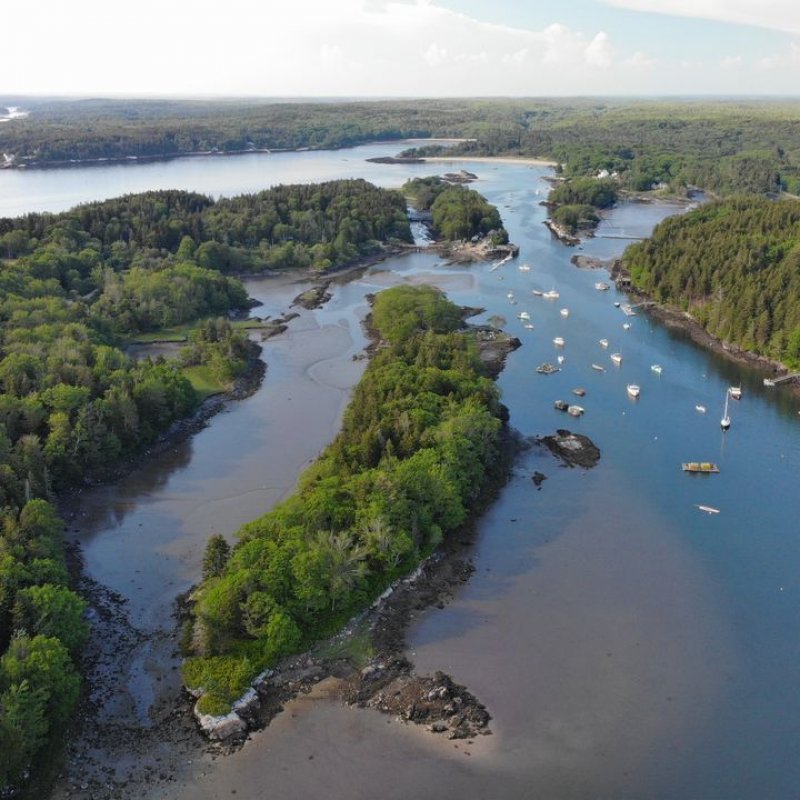 Maine Oyster Company New Meadows