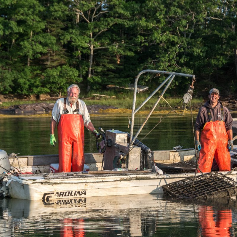 Farmer of Iron Island Oysters 