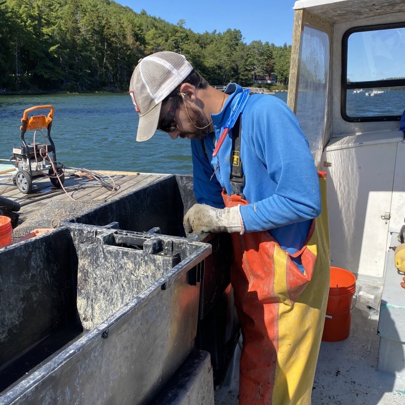 Farmer of Mill Cove Oysters 