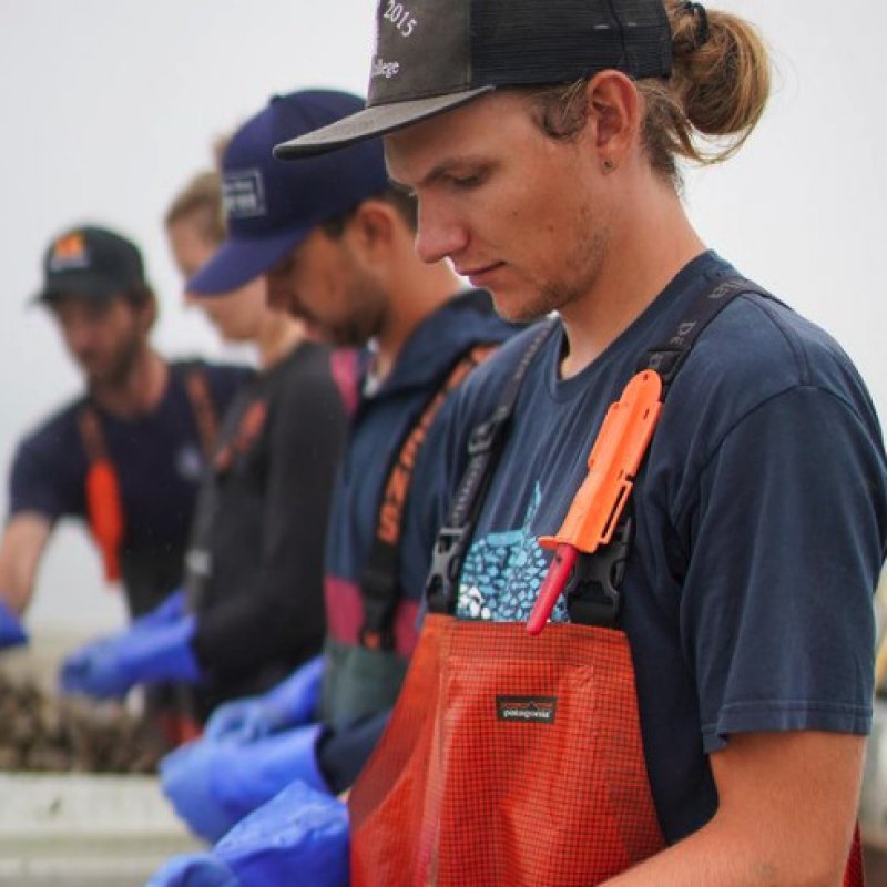 Farmer of Recompense Cove Oysters 