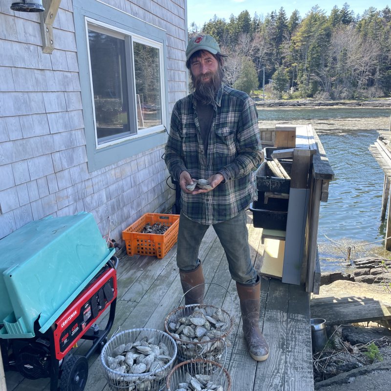Maine Oyster Farmers