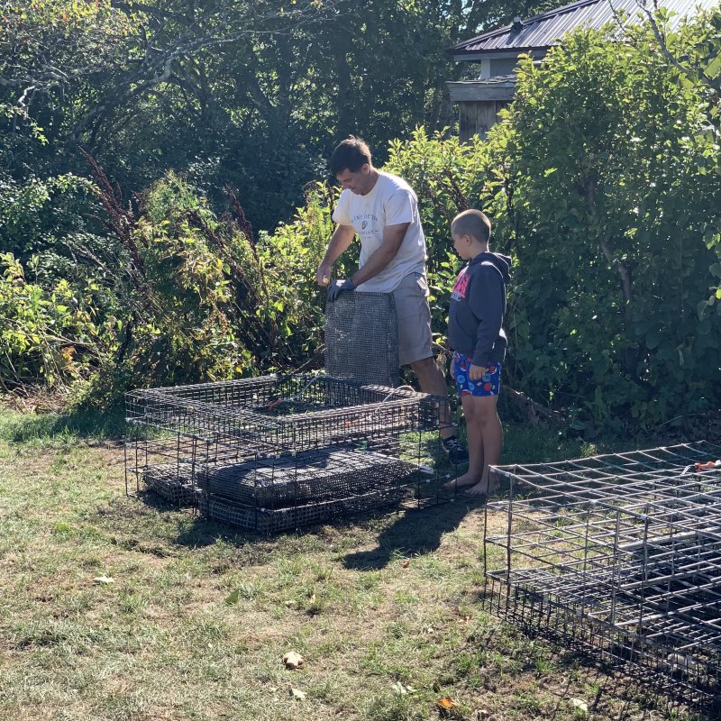 Preparing for the Cage Flip!