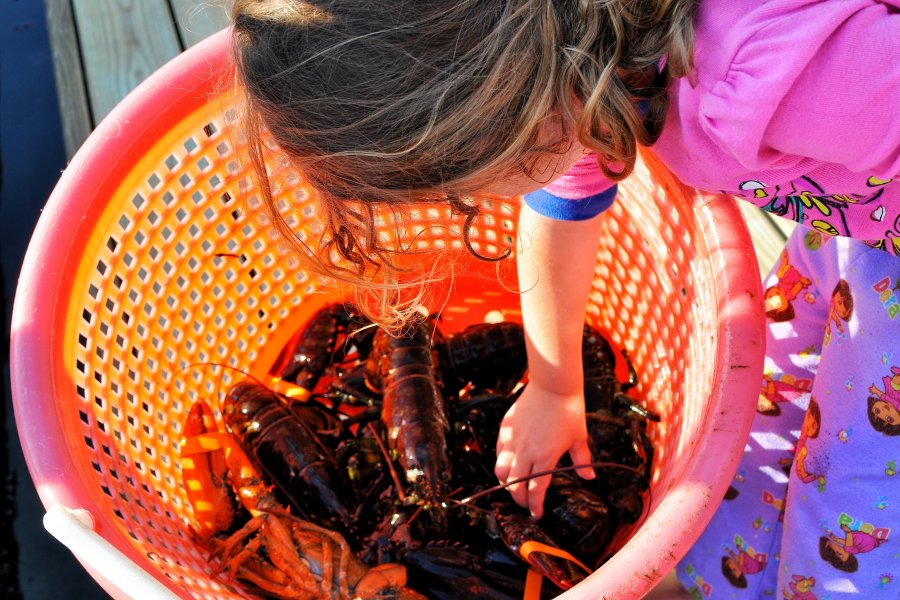 Traditional Lobster Bake