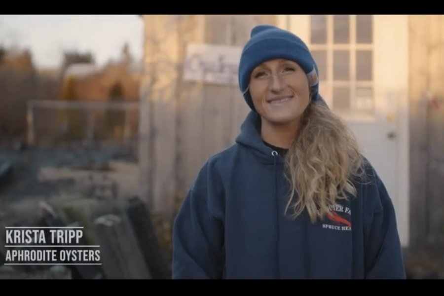 Krista, Aphrodite oyster farm, Penobscot Bay, Maine