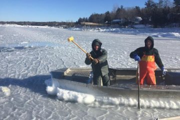 Damariscotta River Oysters